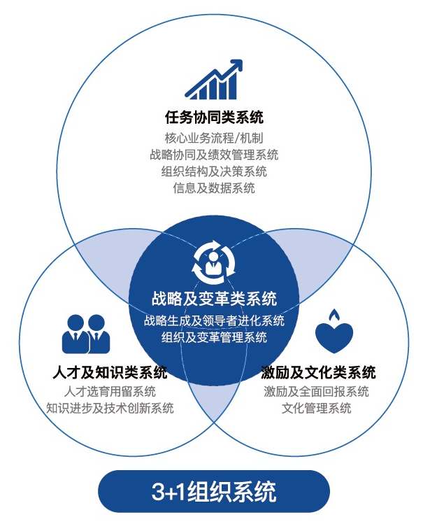 3+1组织系统